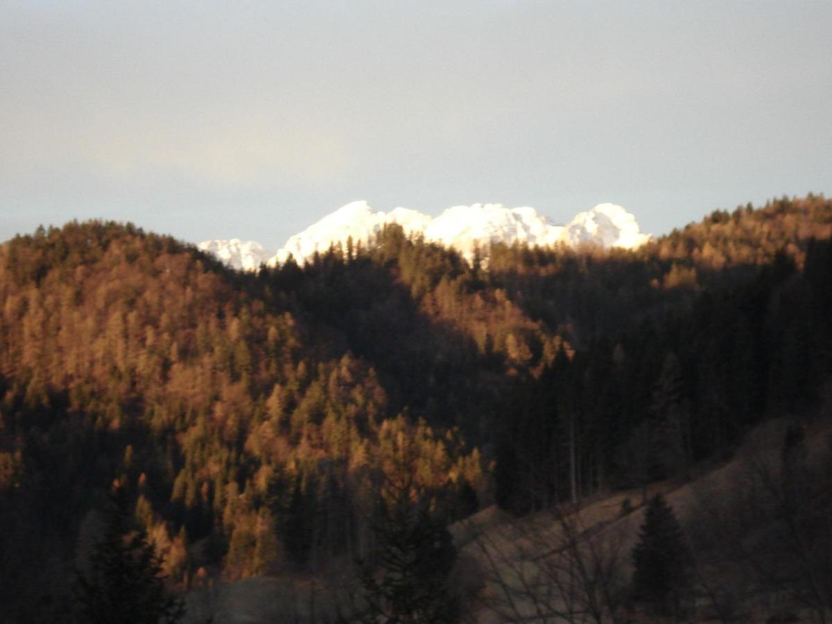 Apartma Podlogar Golica Triglav Apartment Jesenice Luaran gambar