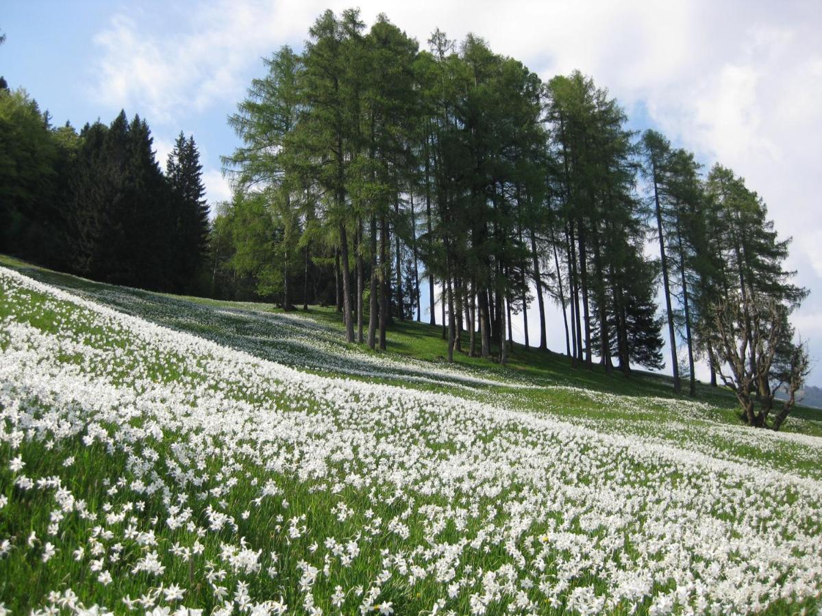 Apartma Podlogar Golica Triglav Apartment Jesenice Luaran gambar